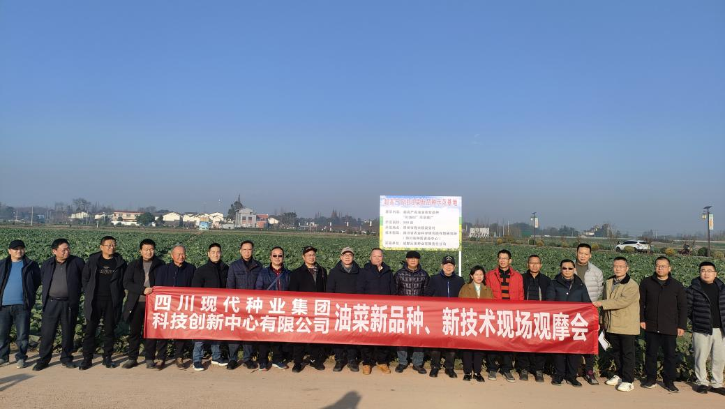 科创中心联合多家单位举办油菜新品种、新技术观摩会2.png