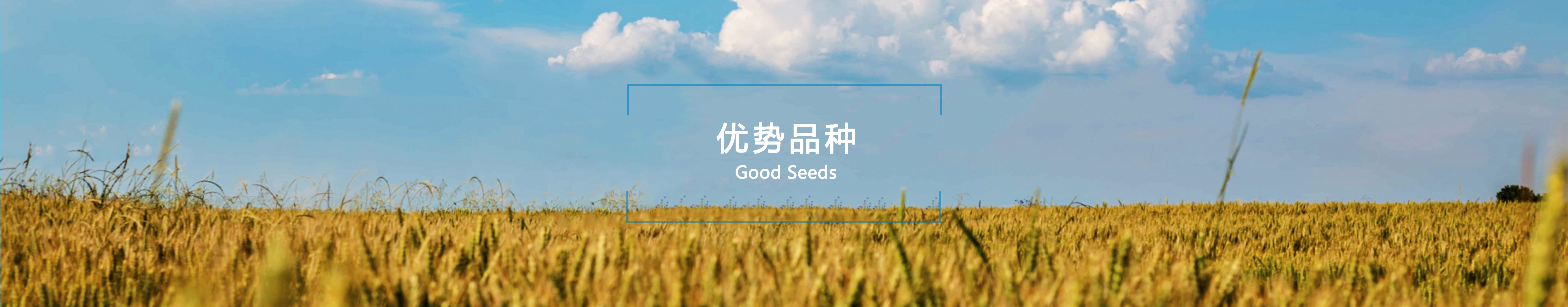优势品种