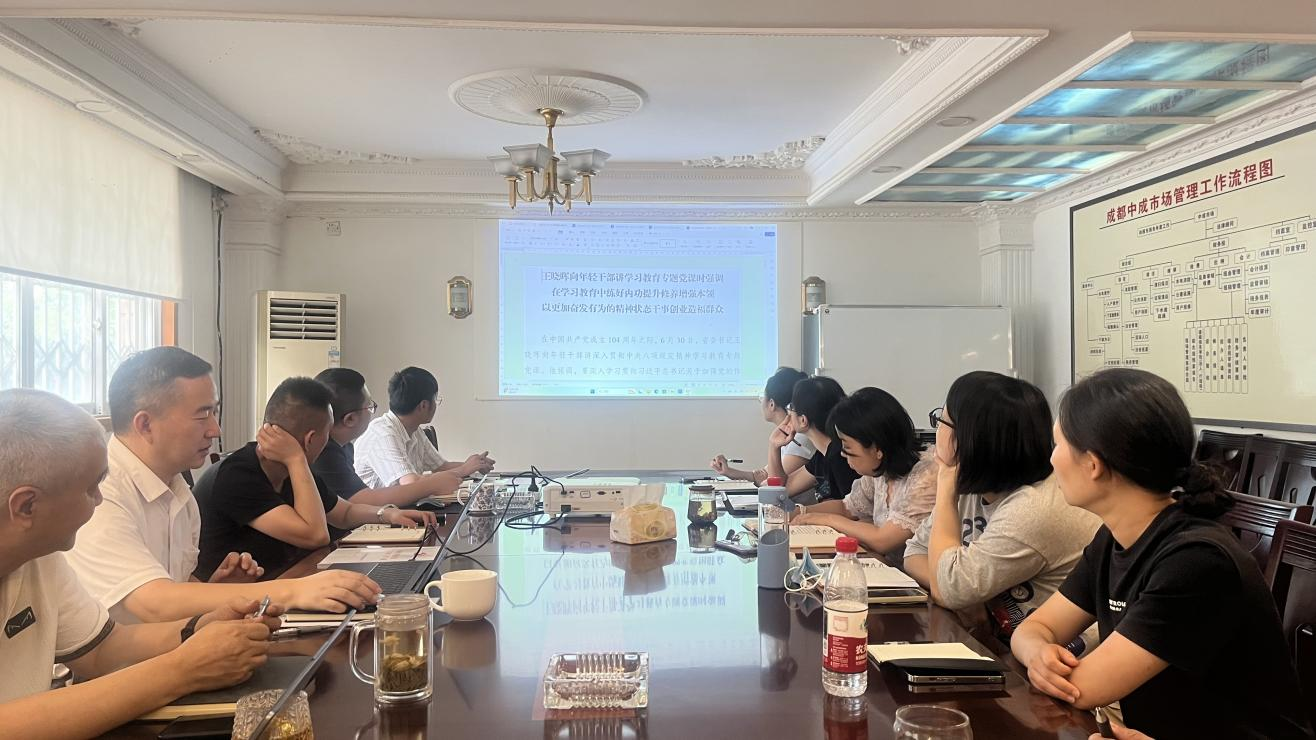 成都片区联合党支部组织召开党员大会暨集团年中工作会议精神宣贯会