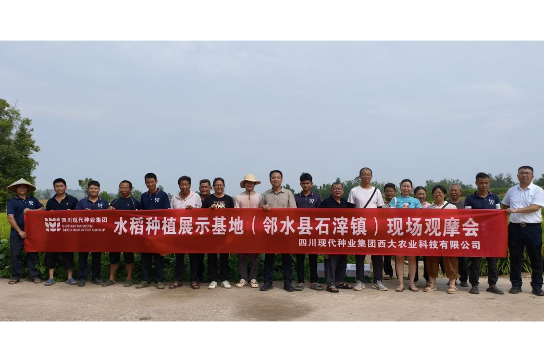 西大农科公司在邻水县石滓镇开展水稻种植展示基地现场观摩会