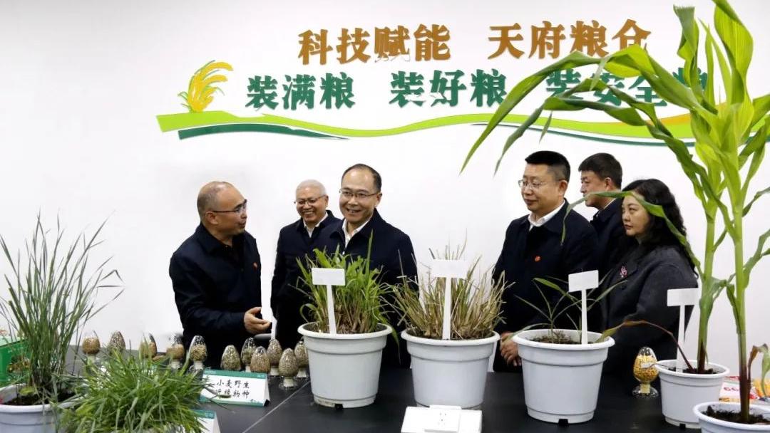 四川日报：胡云在成都调研种业发展工作时强调 加快推进川种振兴 进一步提升川种高质量发展水平