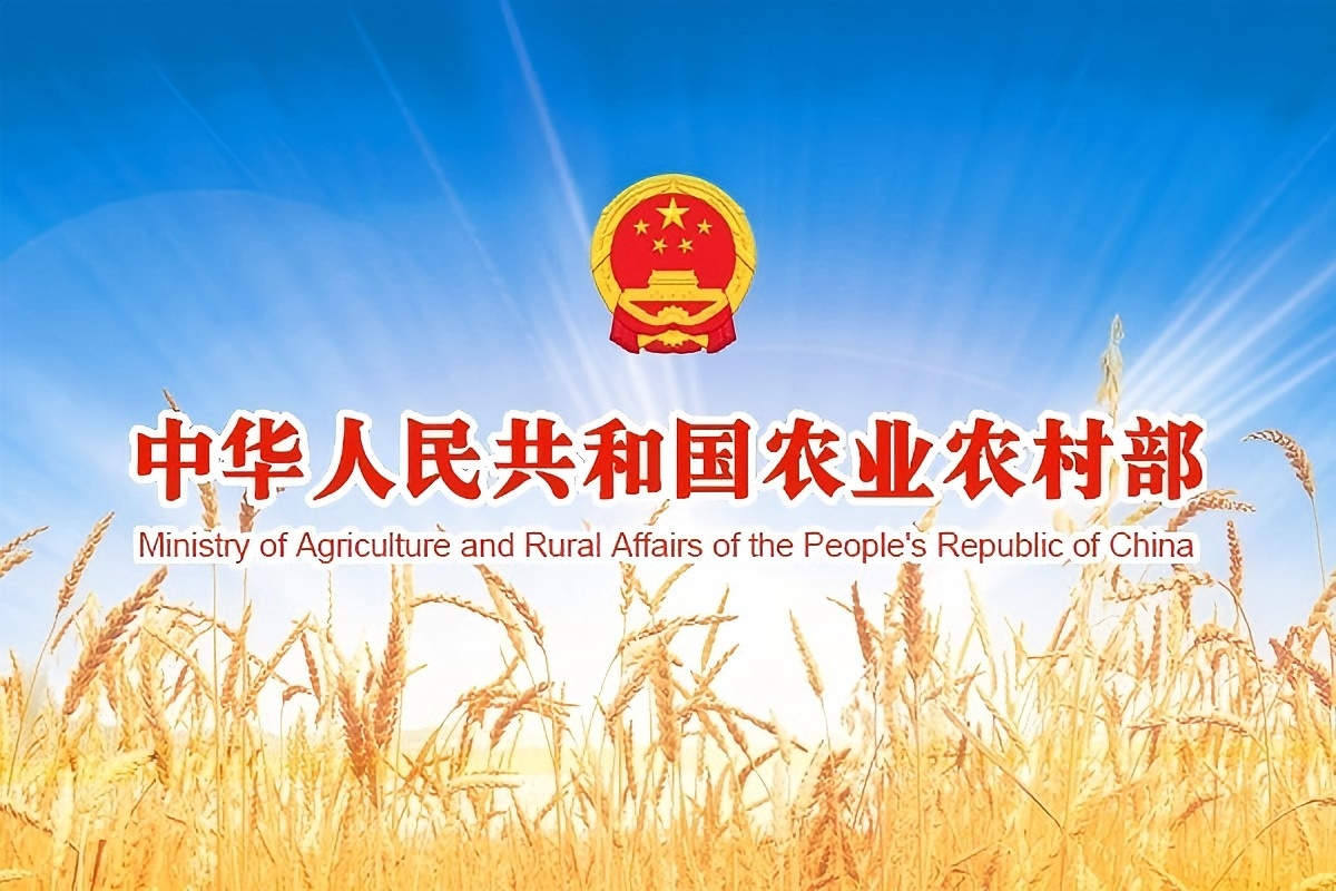 农业农村部召开常务会议强调 真抓实干做好下半年农业农村工作 为经济社会高质量发展提供有力支撑