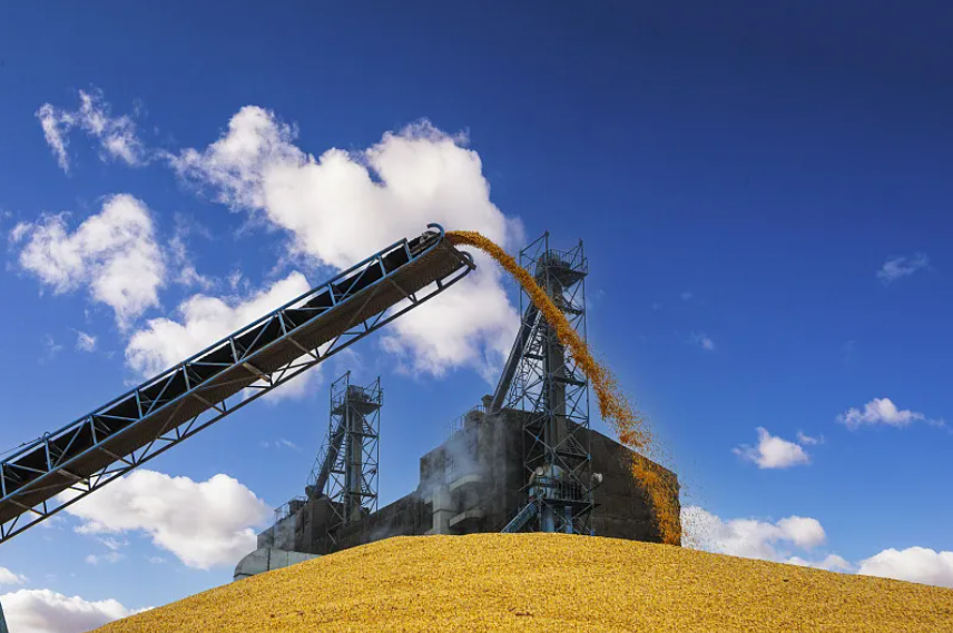 于立军在省储备粮集团调研时强调 坚决扛牢粮食安全政治责任 推动粮食储备工作再上新台阶