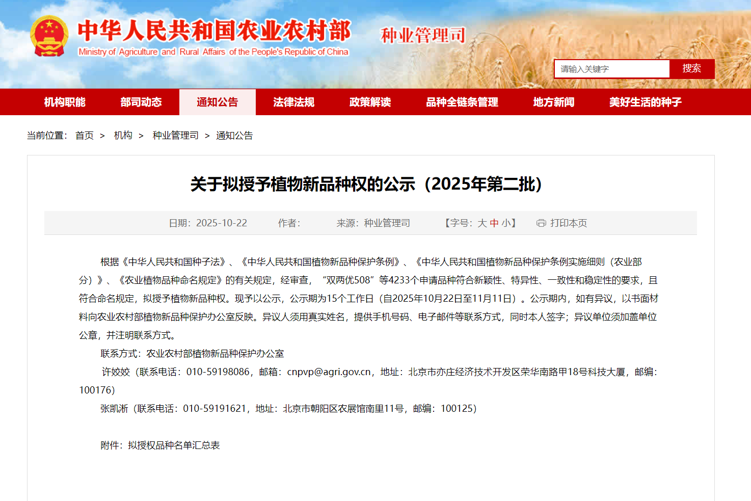 四川现代种业集团科威洋葱公司“科威白610”拟获植物新品种权