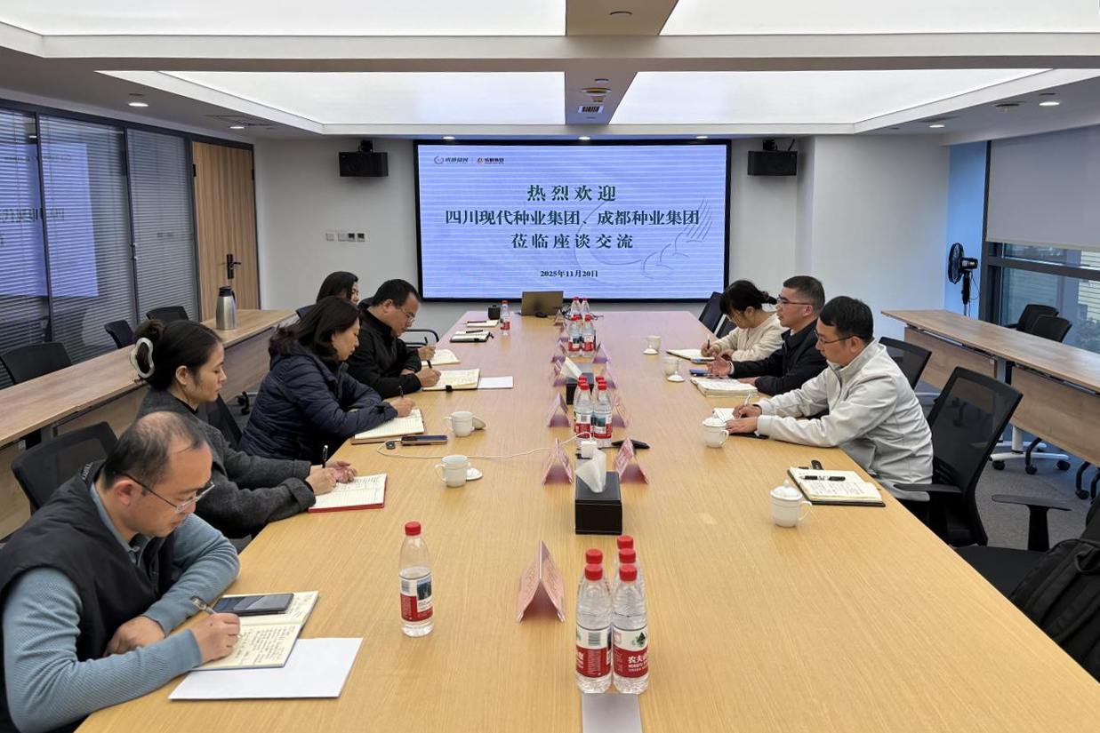 6923d2bcdb4b2.png 11.24蜀丰种源公司与成都粮食集团、成都种业集团开展合作洽谈pic.png