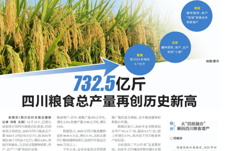 732.5 亿斤！“天府粮仓” 三连跳背后，四川种业筑牢增产核心密码