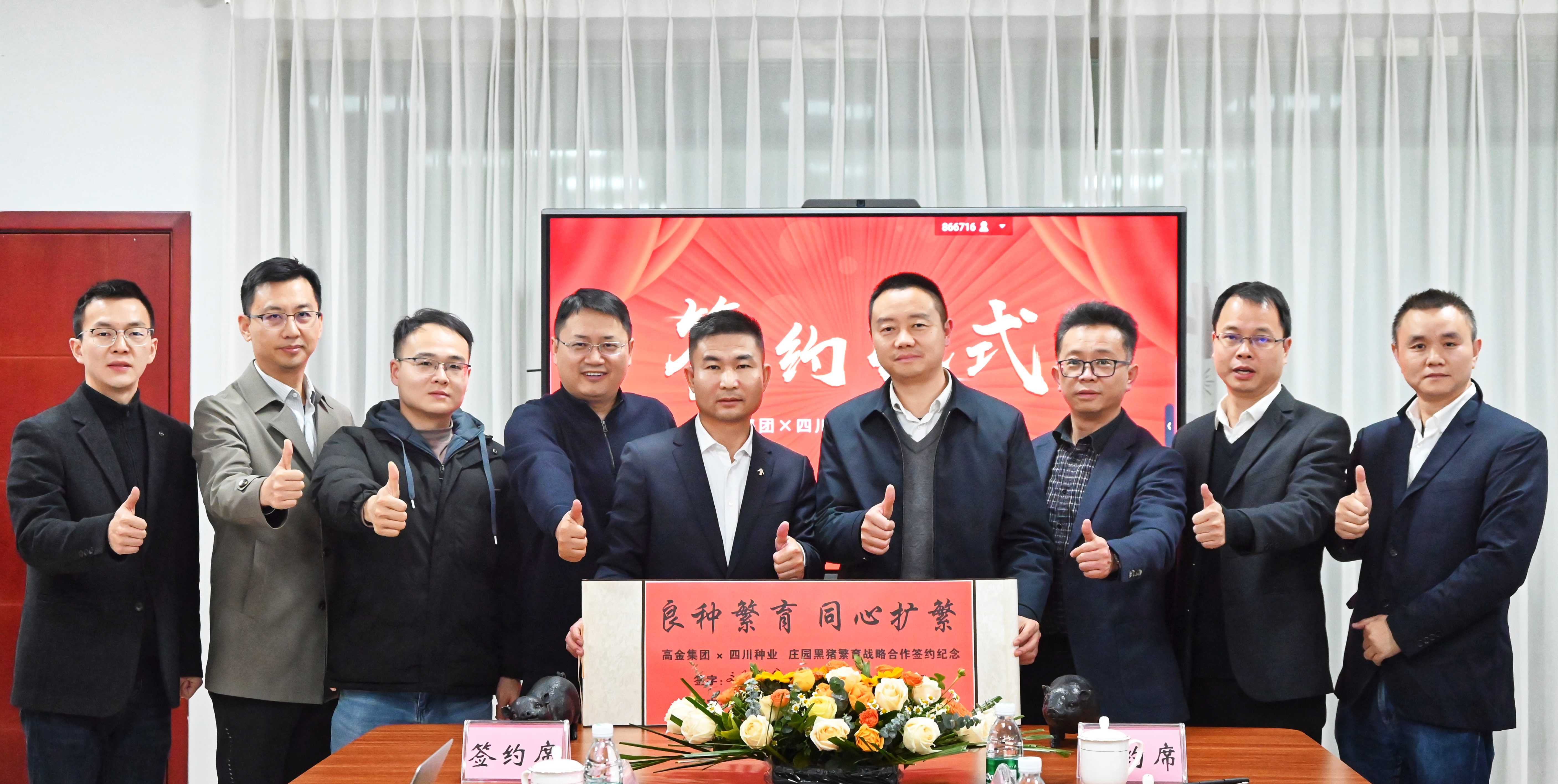 蜀芯猪高金签约合作pic2(1).jpg