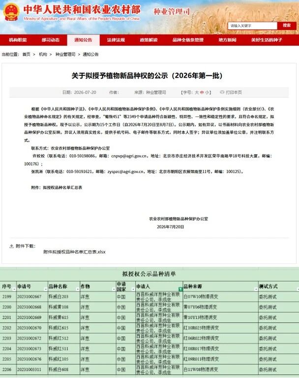 四川现代种业集团科威洋葱公司8个新品种拟获植物新品种权